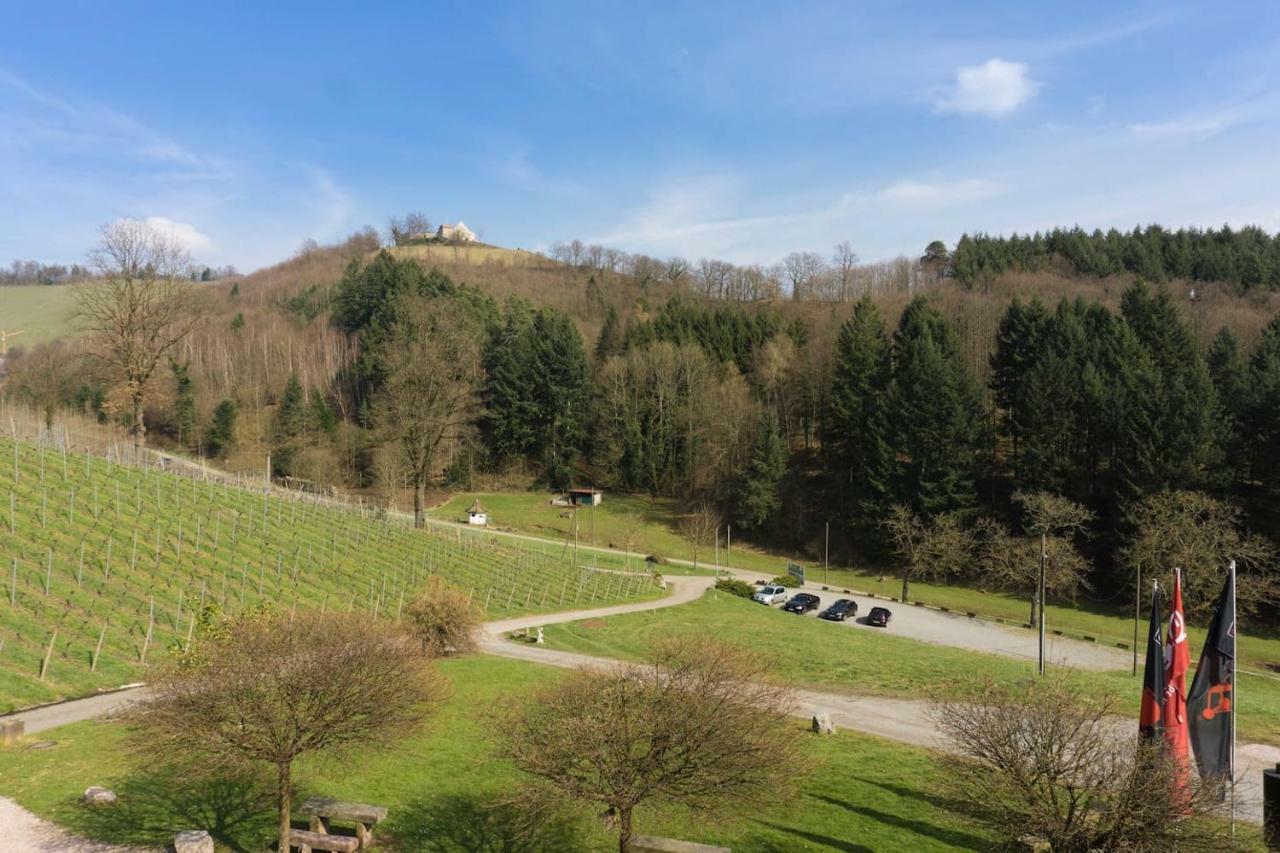 Wein Lodge Durbach - Schlossblick Exterior photo